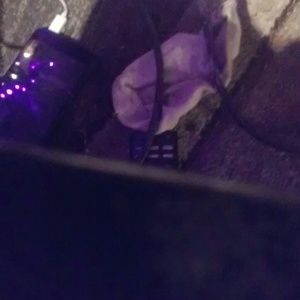 Meet your Posher, Alexander